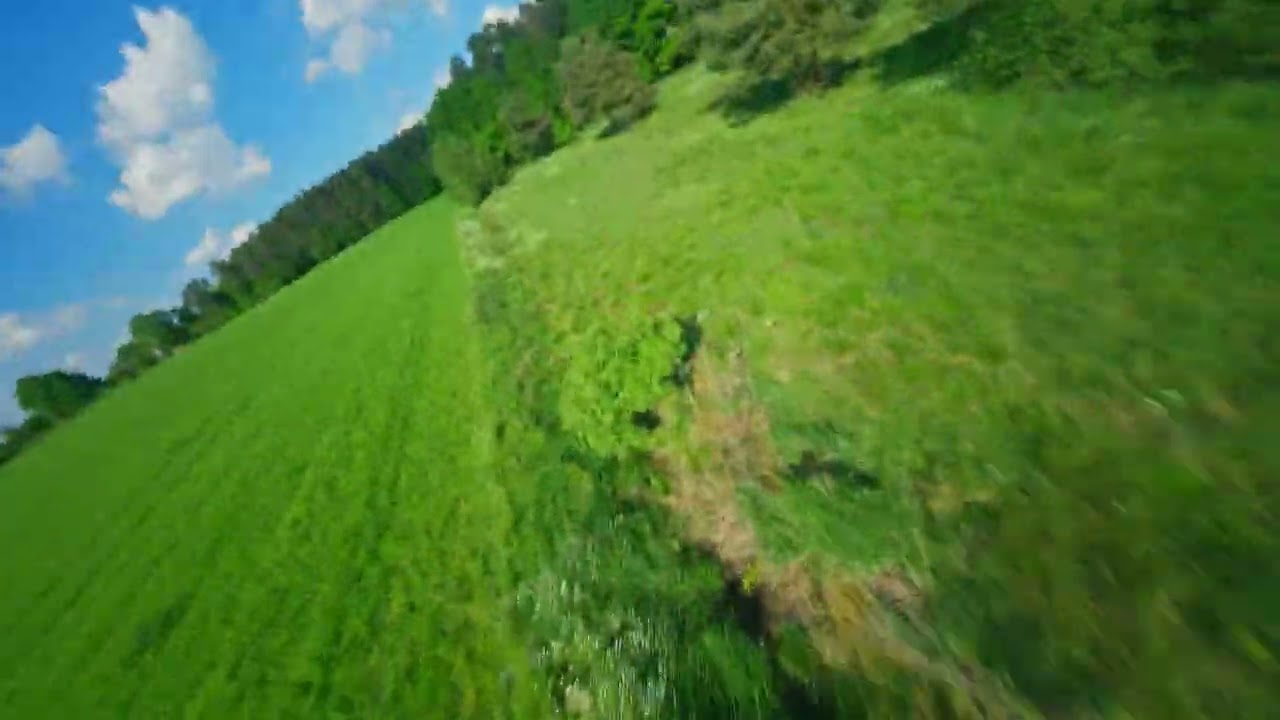 Grass Freestyle 1