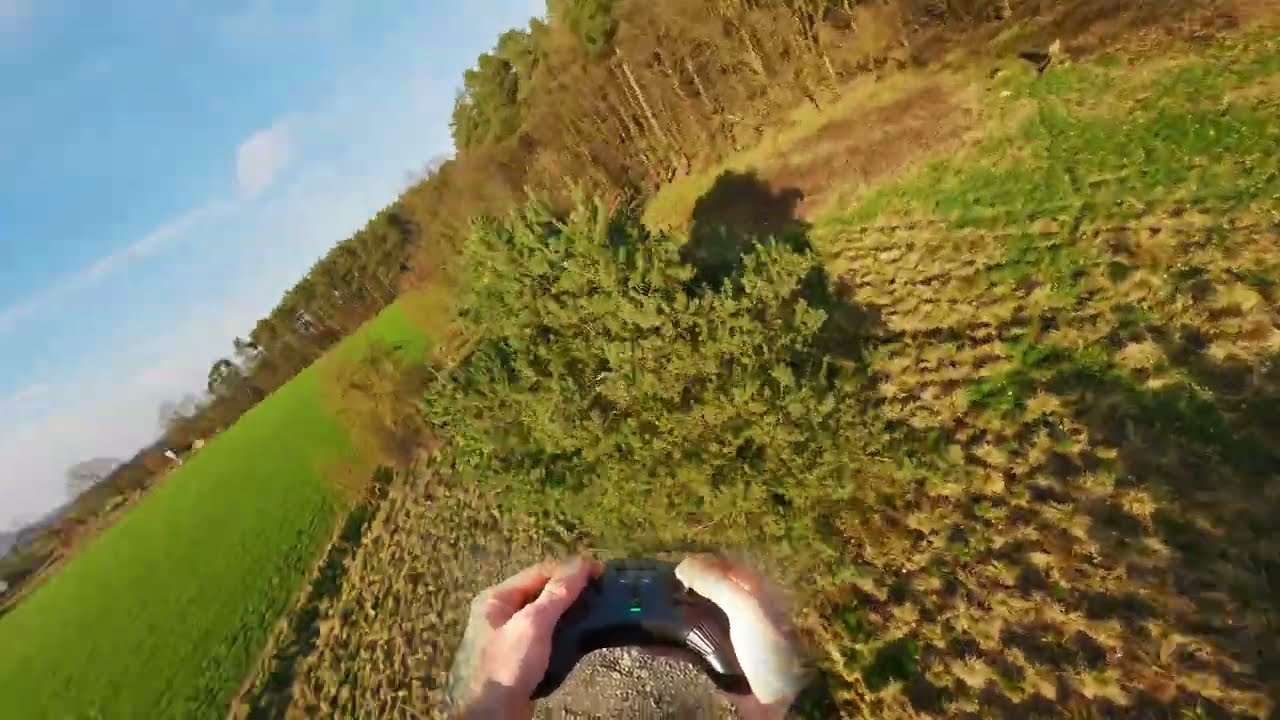 Grass Freestyle 2
